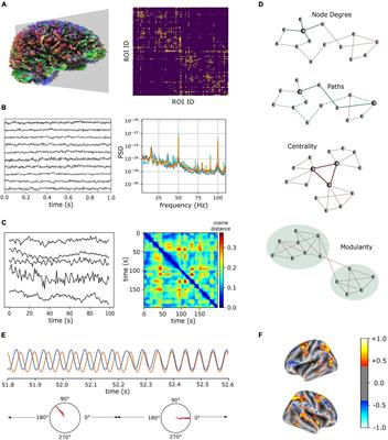 Integrative Models of Brain Structure and Dynamics: Concepts, Challenges, and Methods